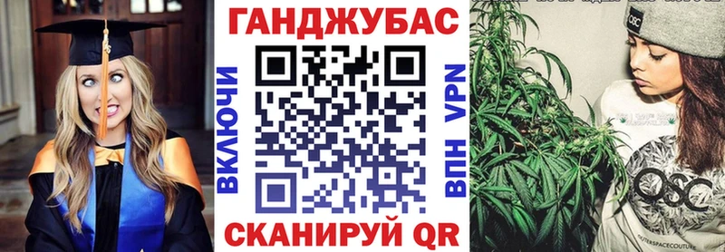 Шишки марихуана Amnesia  omg ТОР  Няндома 